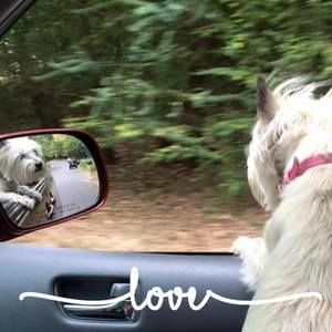 Meet your Posher, Pam